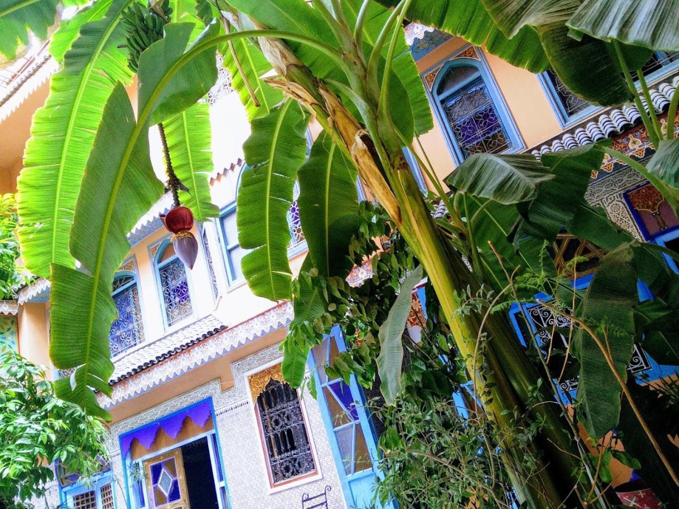 Riad Carole - Perfect For Families & Groups Marrakesh Exterior foto